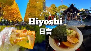 【 Vlog 】今年の紅葉は慶應義塾大学日吉キャンパス銀杏並木🍁