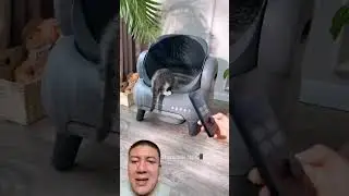 Arenero inteligente para gato