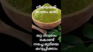 നീല അമരി മാത്രം മതി തലമുടി കറുപ്പിക്കാൻ ഒറ്റ ദിവസം കൊണ്ട് ഒറ്റ യൂസിൽ തന്നെ/hair dye/ indigo hairdye