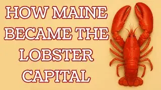 How Maine Became the Lobster Capital. With Travel and Eco Tips #seafood #fisherman #lobster 
