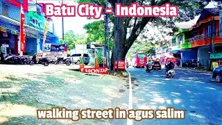 Walking in Batu City, Malang Indonesia | Agus Salim Street