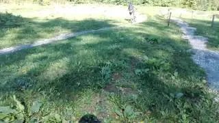 Teil 1 vom mountain bike platz in obersulm