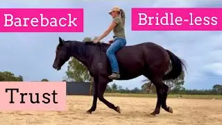 Bareback Bridless no fences trust .. and pray 🙏🏽 | LaraCCHorsemanship : pro tips bareback bridleless