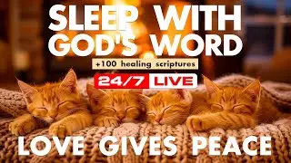 Faith softens what feels unfinished. Peaceful scriptures offer reassurance.