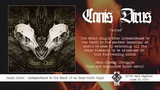 Canis Dirus track Debut 