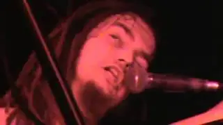 Noisebleed - Enter the Moog