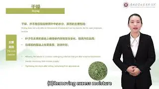 2 3 Characteristics of Green Tea Processing Technology（2）