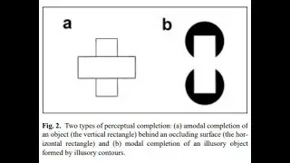 Object Based Attention and Perceptual Completion