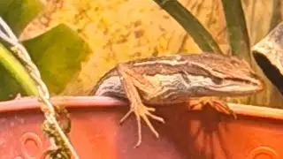 Nature in 3D