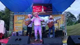 TORRENTE De Gallina en fiesta de luchó Pérez en sapotillo de las palmas 2026