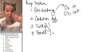 Respiratory system 1- Functions