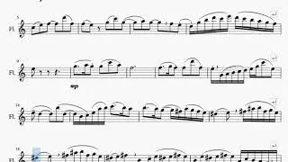 Siciliano, BWV 1031 (J.S.Bach) - Duet for Flute & Guitar - Backing Track for Flute with Score