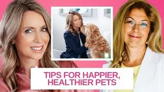 Obesity and Other Health Concerns in Our Pets, Expert Tips and Insights | Dr. Judy Morgan