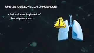 Smart Wireless: A Guide to the World of IQRF - Episode 11 - Smart sanitary