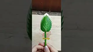 Garnish Daun Timun #shortvideo #shorts #garnishtimun