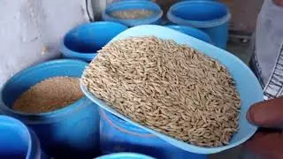 P&S Agro Home delivery anywhere in India