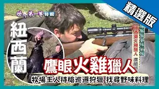 【紐西蘭】鷹眼火雞獵人 牧場狩獵尋找野味料理｜《世界第一等》888集精華版