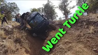 Going Turtle