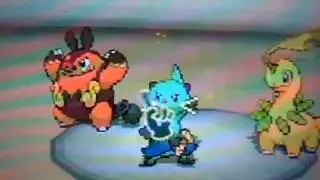 Pokemon Black Metronome battle No 106: SMP vs Silverhamu4
