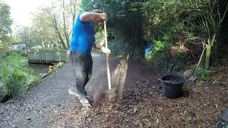 clearing leaves 10 11 23