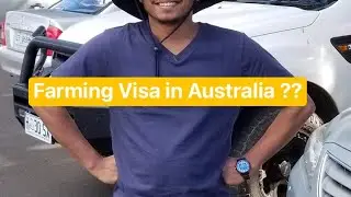 Farming Visa in Australia FAQ 2
