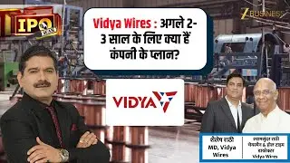 Vidya Wires New Capacity Timeline Out: Key Takeaways from Management
