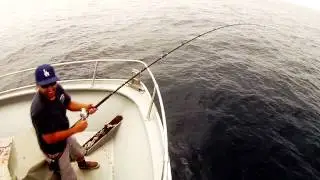 IVAN YELLOWFIN TUNA SEQUENCE - TORRES CHARTER 2014