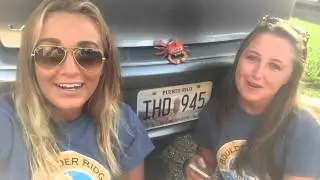 Boulder Ridge Day Camp - International Lip Sync Video 2015