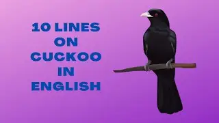 10 Lines on Cuckoo in English / Short Essay on Cuckoo/ 10 lines on Koyal in English,