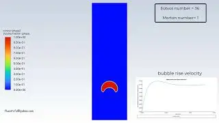 Bubbly flows || Bubble dynamics || ANSYS Fluent