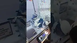 Кукла Kenzo Claw Fish