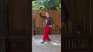 48 Form Tai Chi Quan #taichi #taijiquan