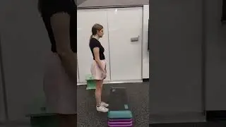 5 minute step test explanation and demonstration