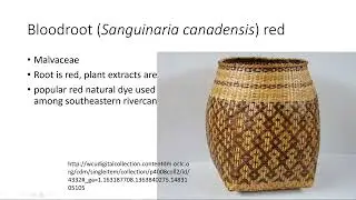 Dyes: The plants