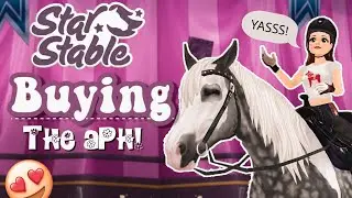 Buying The APH 🤠|| Star Stable