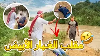 مقلب شد القالب و عطيني رزقك😱الغبار الأبيض المــلعون