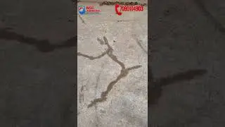 Terrace waterproofing|| 30years Old slab lekeges problem 💯✅ Best solution#terracewaterproofing #home