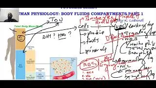 Human Physiology Body Fluid Compartments Part 1