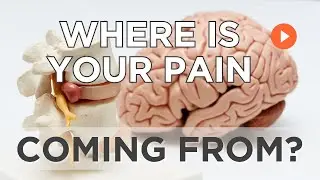 Where is Your Pain Coming From? | Pain Pathways, Perceived Injuries and Neuroplastic Pain
