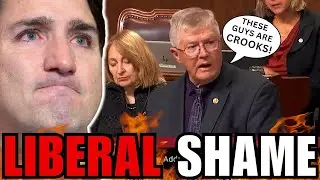 Conservative Senator EXPOSES All Of Justin Trudeau's SCANDALS!