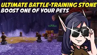 Ultimate Battle-Training Stone - Instantly Boost Your Battle Pet