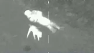 Dog stays with owner stuck in the mud for seven hours