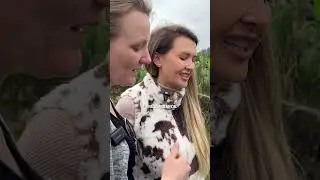 Dog who visited owner's grave in cemetery gets statue!