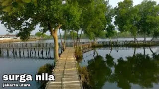 rute spot mancing nila harian // dibelakang stadion kamal jakarta utara