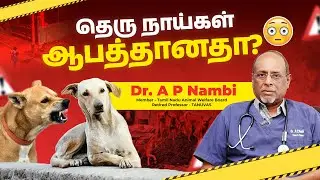 🐕 Street Dogs Behaviour & Rabies Awareness - Dr. A P Nambi 🩺