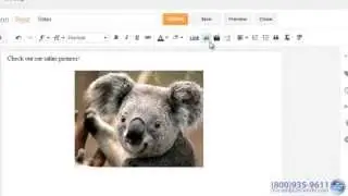 How to Create a Personal Blog!