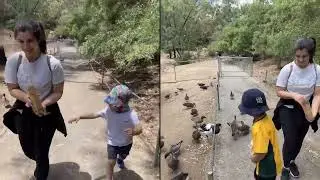 Noah&rsquo;s Aussie Life 🇦🇺 Trip # 2 - Gorge wild park #wildanimals#adelaidekids#somuchfun#kidsactivities