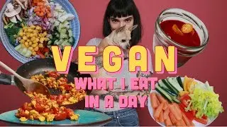 WHAT I EAT IN A DAY | VEGAN + HALLO ELMO | KUDOKii