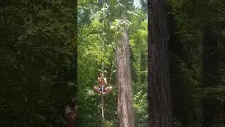 A 2 min snapshot of my relationship with someone suffering mental health and addiction issues