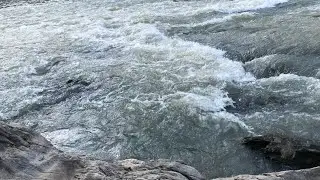 &ldquo;Natural Stream ASMR for Deep Relaxation &ndash; Pure Water Sounds 1 Hour (No Ads)&rdquo;